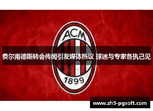 费尔南德斯转会传闻引发媒体热议 球迷与专家各执己见