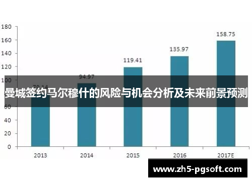 曼城签约马尔穆什的风险与机会分析及未来前景预测