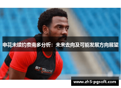 申花未续约费南多分析：未来去向及可能发展方向展望