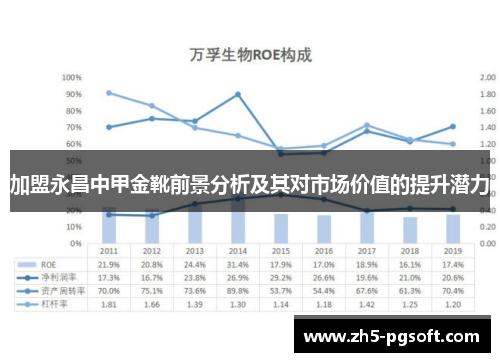 加盟永昌中甲金靴前景分析及其对市场价值的提升潜力
