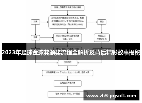 2023年足球金球奖颁奖流程全解析及背后精彩故事揭秘