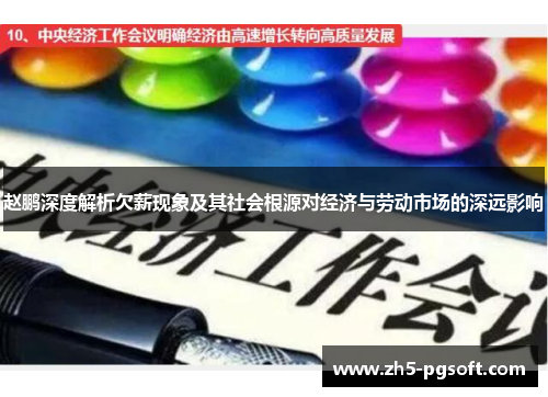 赵鹏深度解析欠薪现象及其社会根源对经济与劳动市场的深远影响