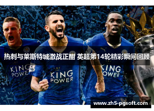 热刺与莱斯特城激战正酣 英超第14轮精彩瞬间回顾